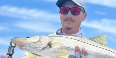 Fishing Charters in Tampa Bay | Bayport Fishing Charters