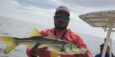 Tampa Bay Fishing Charters | Private 6HR Inshore Fishing